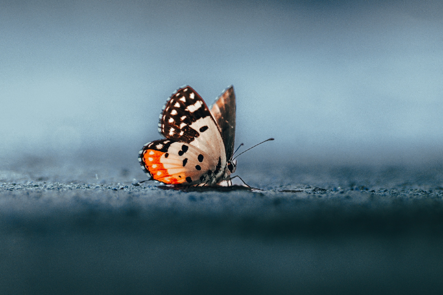Transformation & Innovation